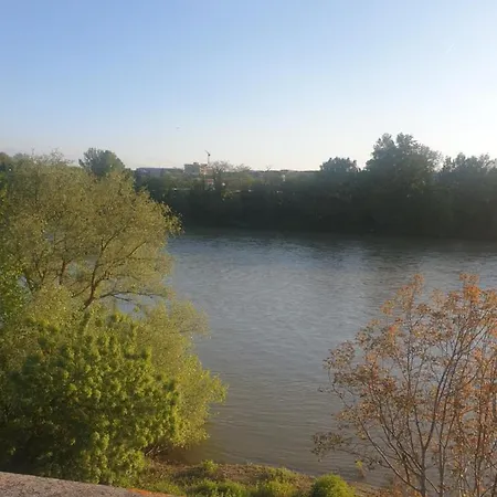 Apartment Appart Cosy Sur Berges De Garonne Pour & Affaires Toulouse